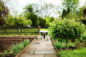 La Ordenanza Municipal de Limpieza Viaria y Residuos Urbanos contempla sanciones de hasta 3.000 euros en caso de su incumplimiento