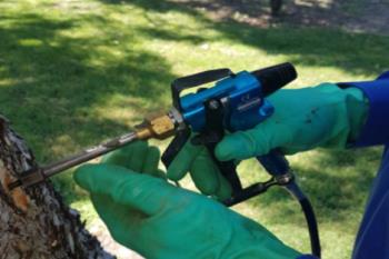 El tratamiento terapéutico no es invasivo para el árbol y protege a la fauna