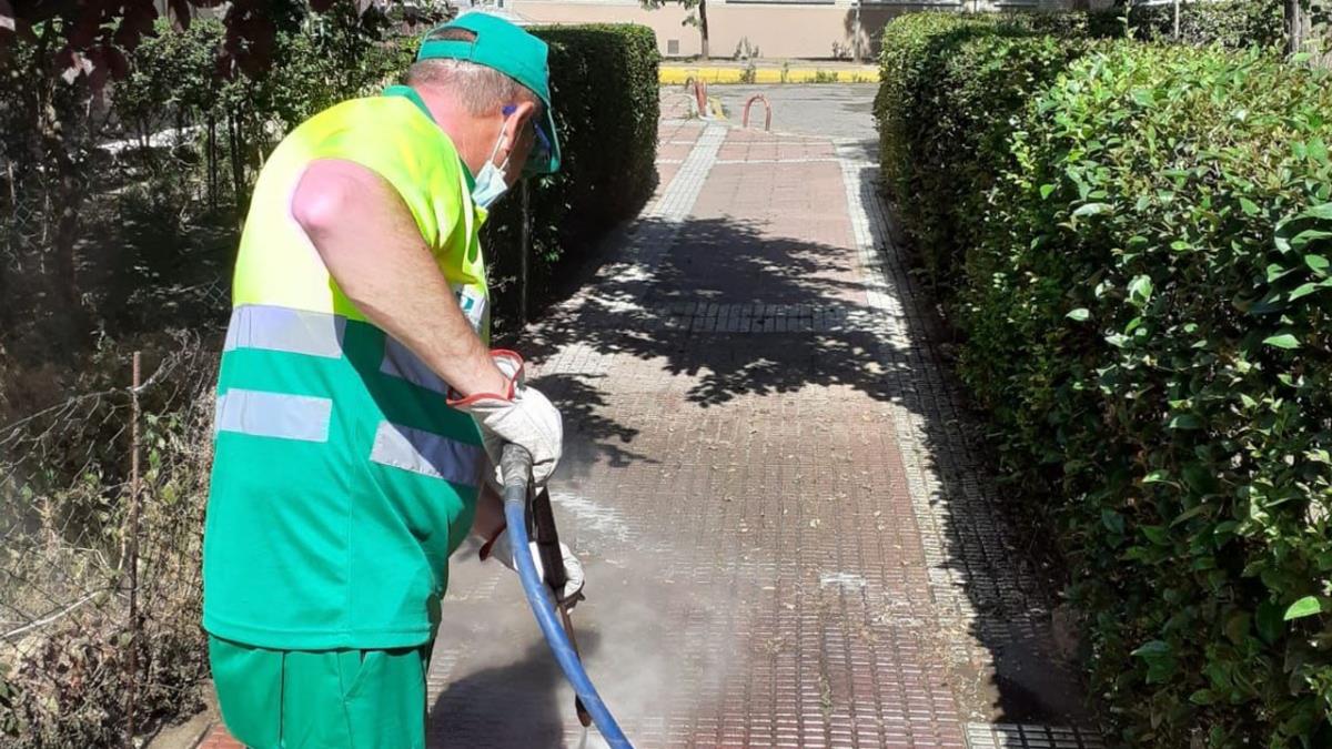 Desde el 31 de mayo hasta el 9 de agosto