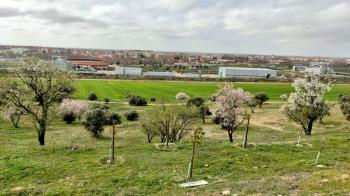 Con el lema "Esta Semana Santa los dejamos plantados" se inicia la campaña de Semana Santa