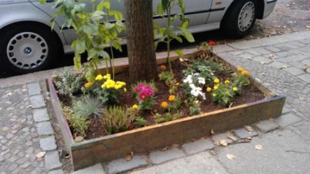 Los estudiantes de los colegios e institutos serán los encargados de realizar las plantaciones urbanas