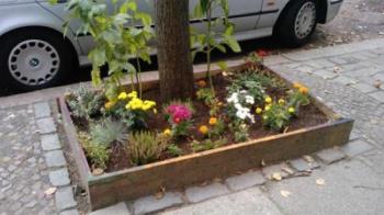 Los estudiantes de los colegios e institutos serán los encargados de realizar las plantaciones urbanas