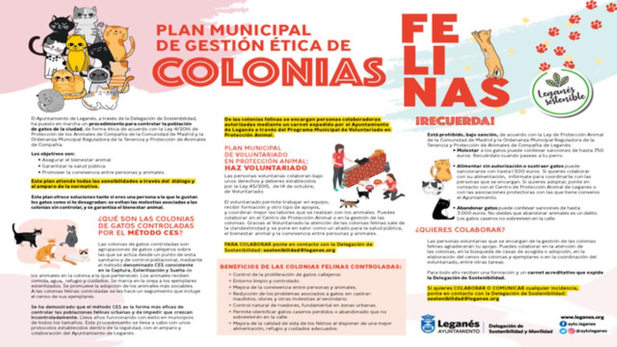 El Ayuntamiento Ejecuta Un Plan Municipal Para La Gesti n De Las 
