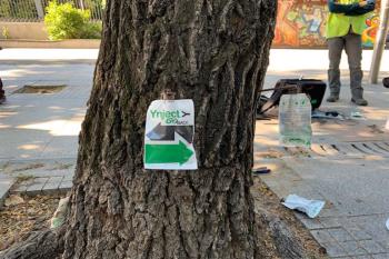 Este lunes empieza el tratamiento contra la galeruca con un presupuesto de 500.000 euros 