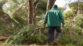La Concejalía de Medio Ambiente ha adjudicado un contrato de emergencia para la gestión del resto vegetal acumulado por los graves riesgos que puede implicar