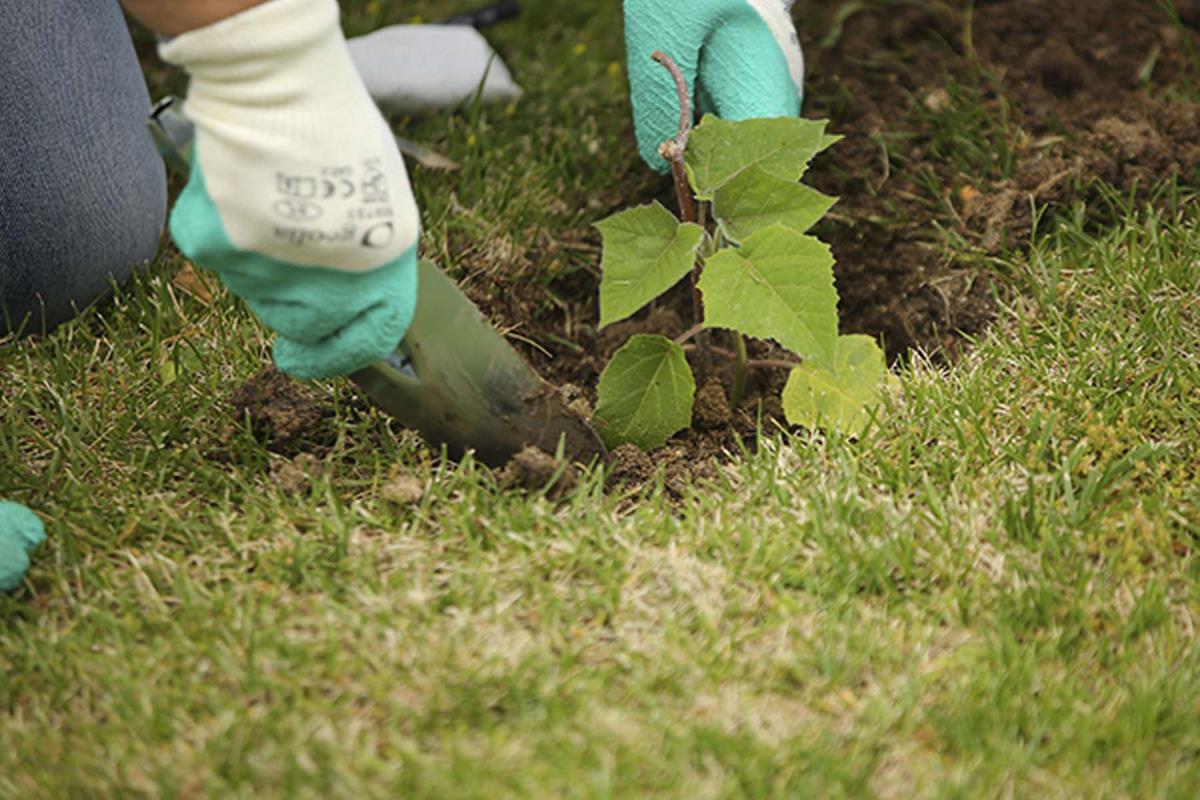 Las áreas naturales del municipio en la actualidad ocupan hasta un 46% de superficie. 