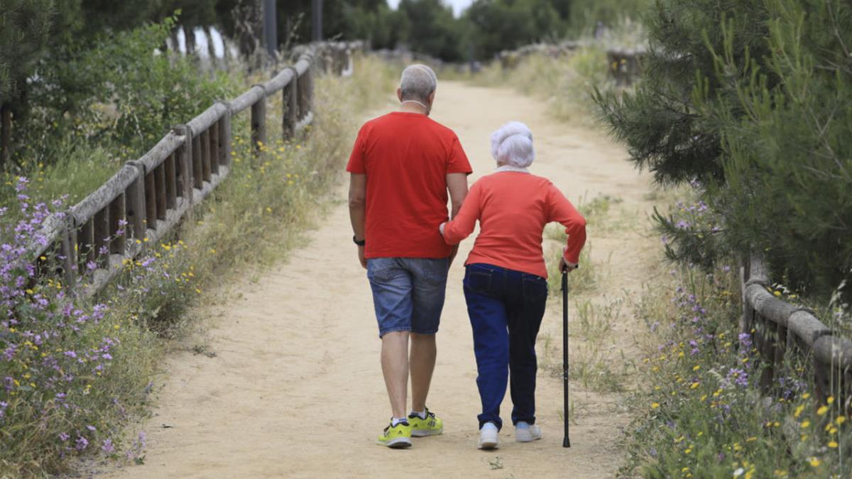 Se habilitará un camino seguro antideslizante y se colocarán barandillas