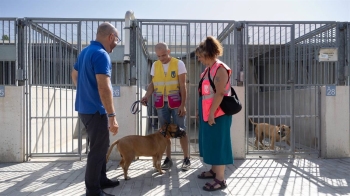 Voluntarios por Madrid contribuye al cuidado de los animales del Centro de Protección Animal con 8.000 paseos al año