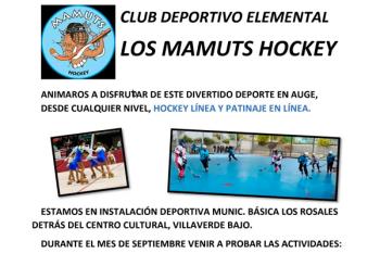 Te ofrecen la posibilidad de patinar o de jugar a hockey patines