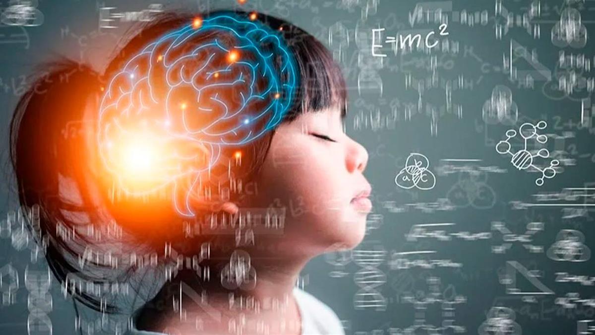 La ciencia ha transformado nuestra comprensión sobre el aprendizaje