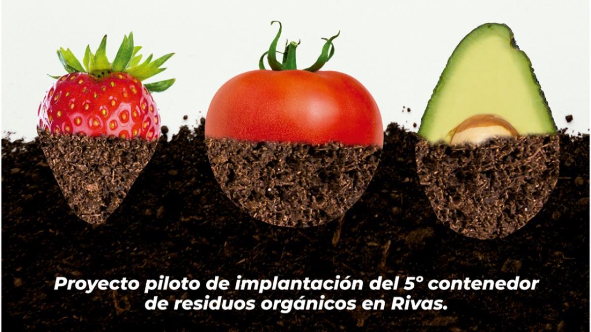 Los diez domicilios o establecimientos mejor recicladores obtendrán un cheque regalo de 200 euros para consumo local en los bares, mercados y comercios de la zona piloto