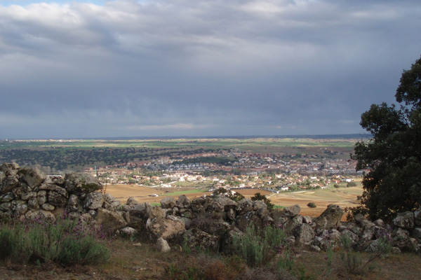 Un total de 607 hallazgos se han puesto en conocimiento de la Dirección General de Patrimonio