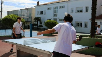 La práctica deportiva en la infancia actúa como un laboratorio social acelerado donde se fraguan la empatía y el trabajo en equipo
