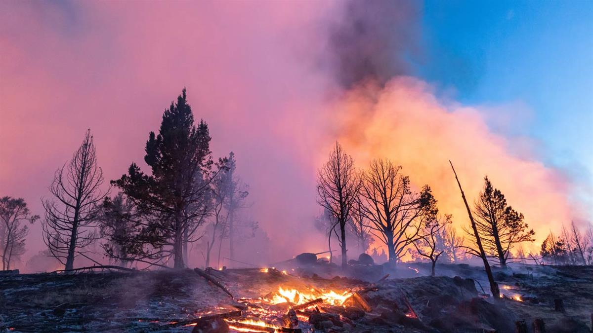 Cómo entender y acompañar el duelo de quienes han perdido su hogar, sus recuerdos o su forma de vida en los incendios de Madrid