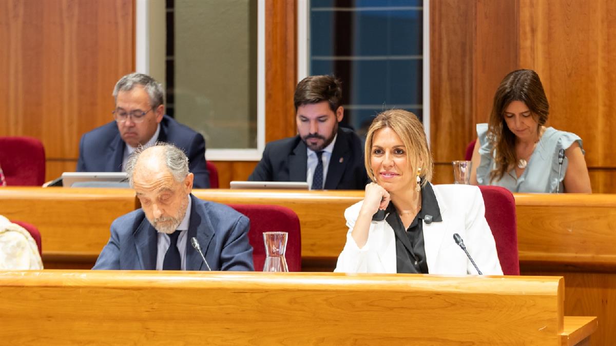 El Ayuntamiento convocará un concurso de ideas con universitarios del municipio para remodelar la Plaza Mayor de Pozuelo