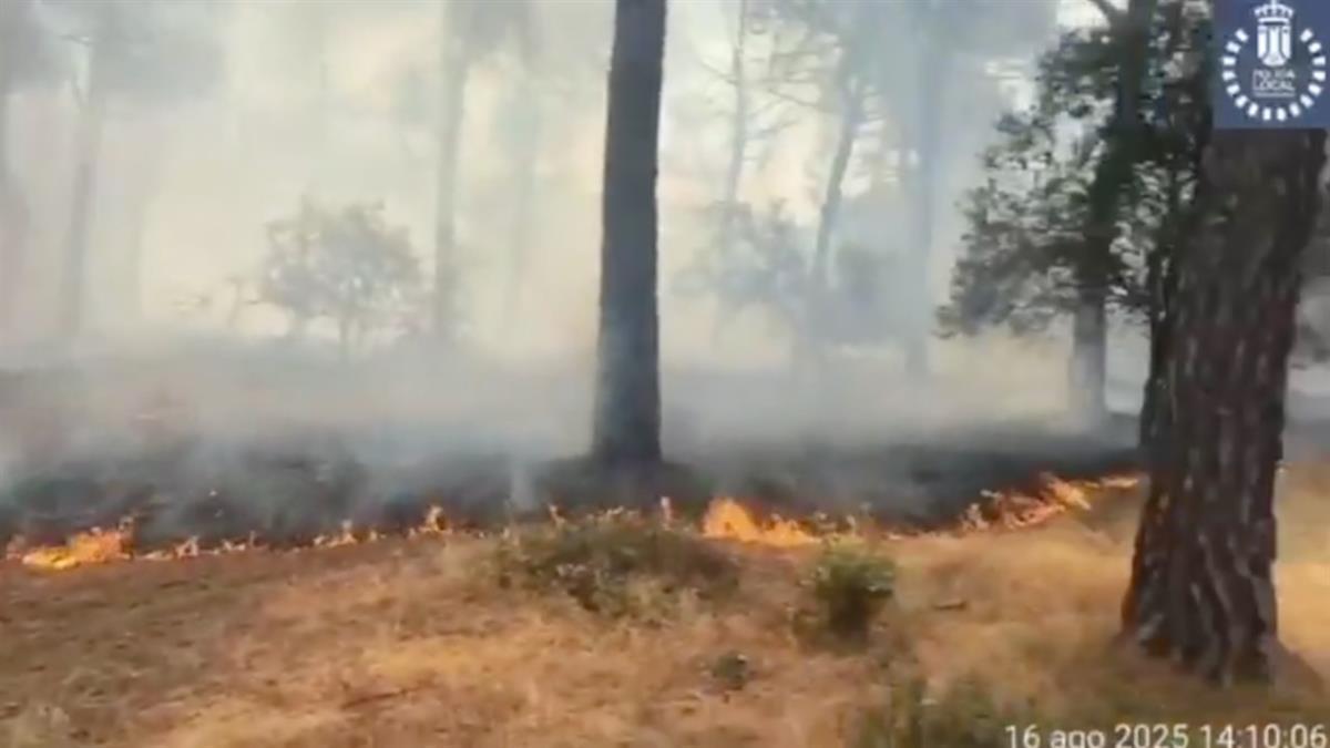 Petición del grupo municipal Vecinos por majadahonda (VpMJ) al Ayto de Majadahonda