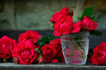 La Fundación Madrina entregó 1.000 flores para animar a los sanitarios