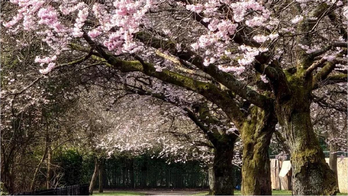 Carmen Conesa encabeza el elenco de esta producción del teatro