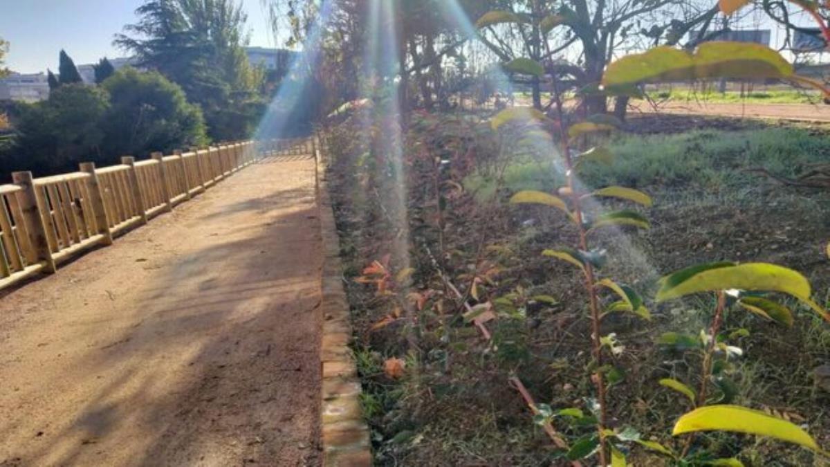 Fue la primera concejala en el Ayuntamiento y gran luchadora por los derechos de la mujer y de los más desfavorecidos