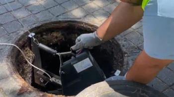 
Trata de una campaña extraordinaria de limpieza, que se suma a las actuaciones periódicas y de control que se llevan a cabo durante todo el año