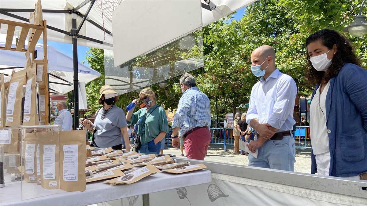 Durante el último mes, la cifra de desempleados en el municipio ha disminuido en 104 personas