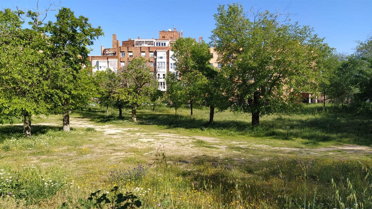 La vecindad de Campamento ha registrado un escrito ante el Defensor del Pueblo y ha organizado una manifestación el jueves 8 de junio 