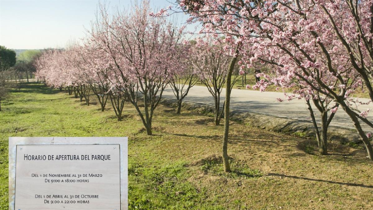 Las obras están previstas para que comiencen en verano y con ello también el plan de actuaciones 