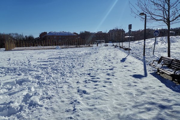 El gobierno local no compró la sal suficiente para afrontar Filomena