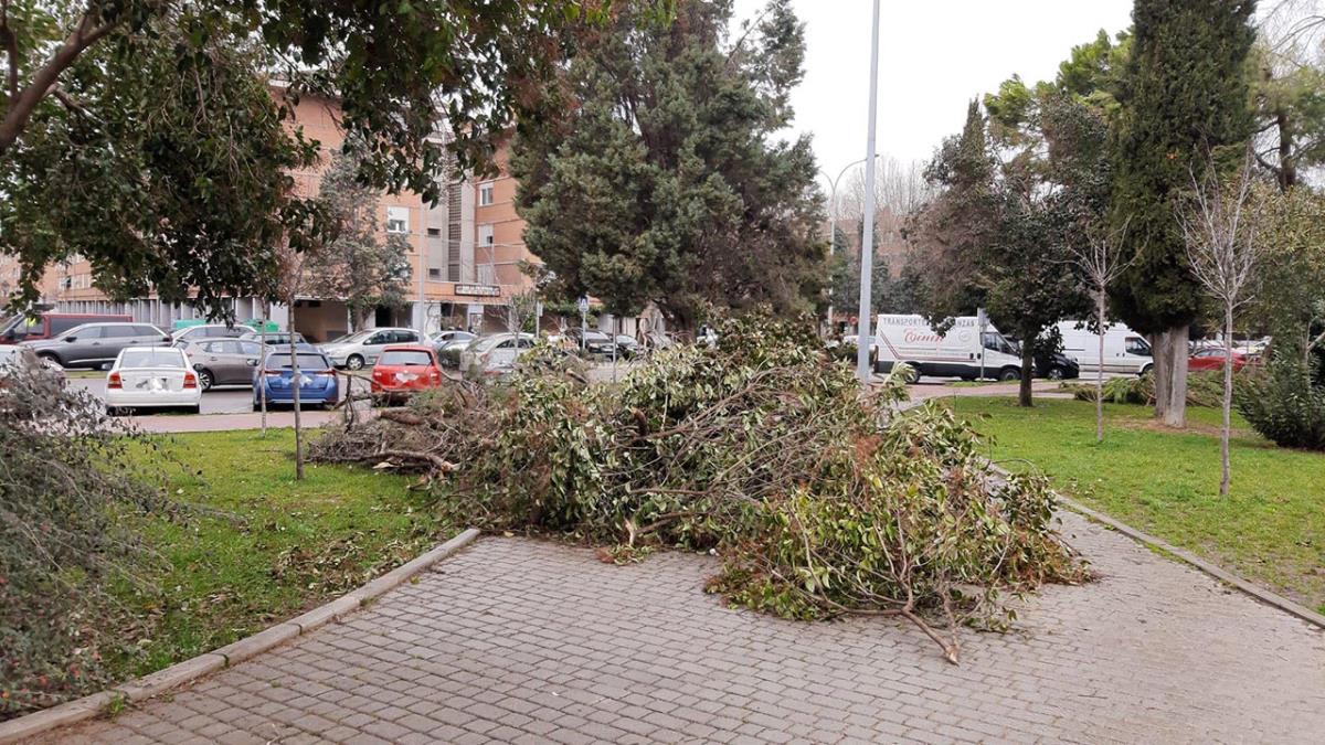 Los populares lamentan la dejadez del equipo de Gobierno para que los barrios recuperen la normalidad