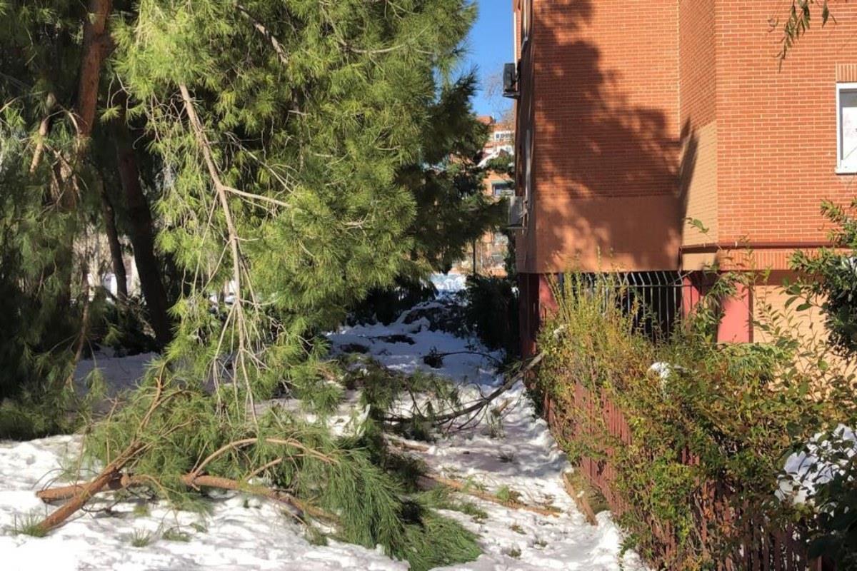 Otros municipios ya lo han hecho debido a los daños del temporal