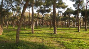 Tres grandes parques de Leganés siguen cerrados desde Filomena 