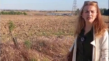 Los socialistas reclaman una mayor inversión municipal en arbolado y zonas verdes y critican la gestión del Gobierno local en materia medioambiental