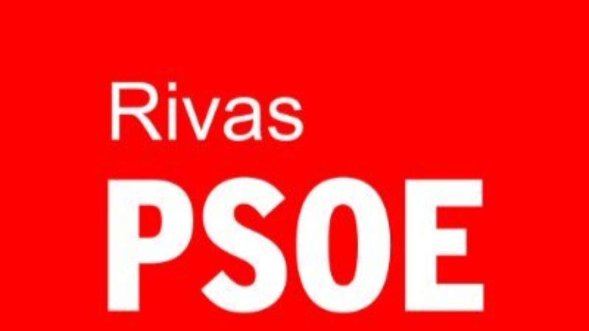 Elena Muñoz: “La falta de competencias en el ámbito del empleo hace que nos encontremos con mayores dificultades de para ser más eficaces y eficientes”
