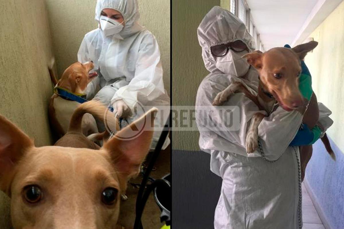 La Unidad de Intervención Rápida del centro fue creada para actuar en este tipo de casos excepcionales