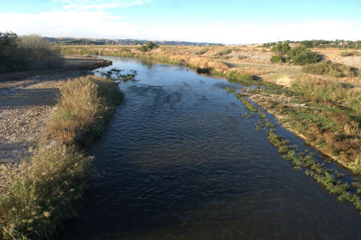 Todo tipo de residuos orgánicos y plásticos terminan en el río