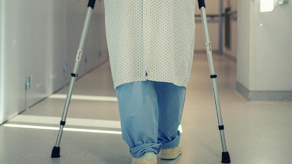 El servicio cuenta con más de 1800 usuarios.