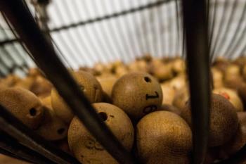 El premio ha sido de 25.000 euros por cada décimo