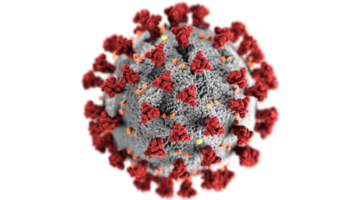 Siempre que se trate de la variante Ómicron y que estén vacunados