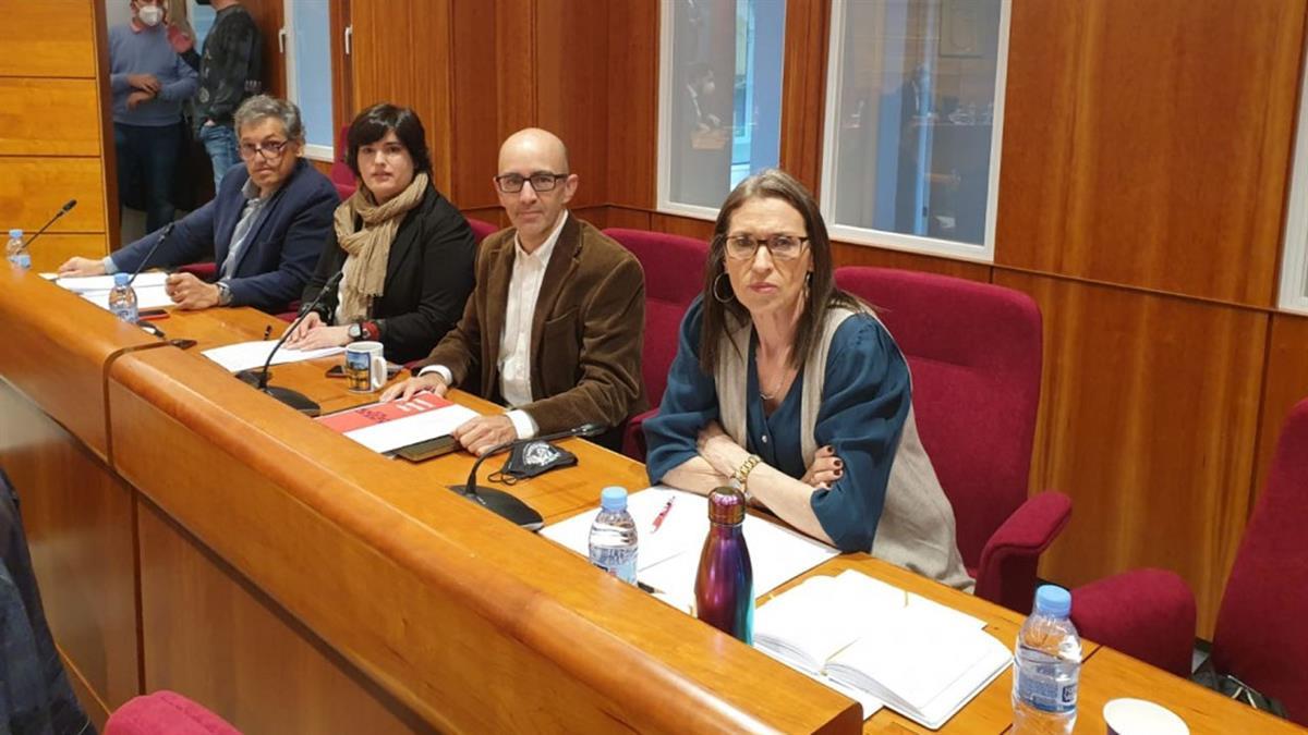 Vox y PP votan en contra de esta moción en el último Pleno
