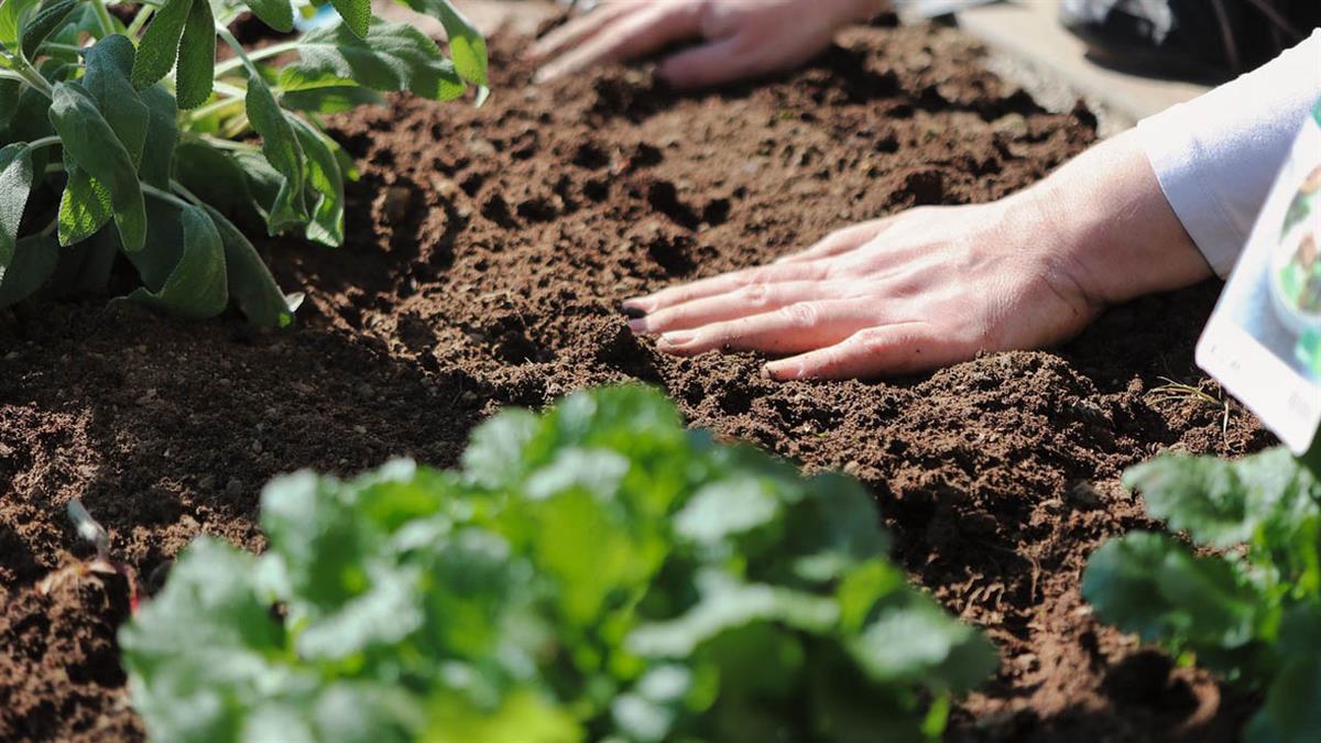 La iniciativa está dirigida a menores de 25 años 