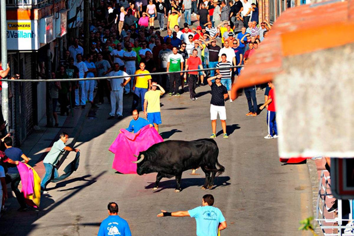 Se cancelarán alrededor de 100 festejo que se celebrarían a partir de 15 de julio, éstos se suman a los 300 anulados desde el Estado de Alarma