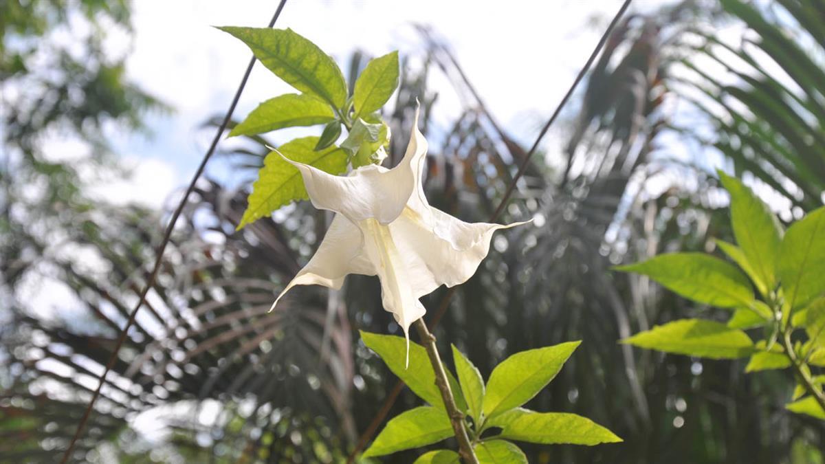 La fiscalía ha dado la orden tras no presentarse el acusado de 9 delitos a un juicio el pasado mes de marzo