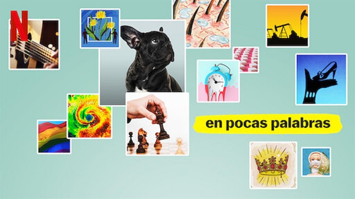 Temas que impactan en nuestra vida cotidiana, de forma breve y concisa: pandemias, cirugía, programación, inteligencia animal, realeza...