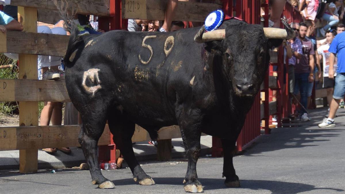 En su día se solicitó, sin éxito, que fuesen considerados Bien de Interés Cultural