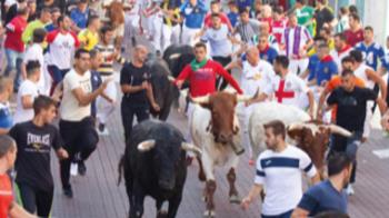 El Ayuntamiento ha declarado que se seguirán los protocolos de seguridad