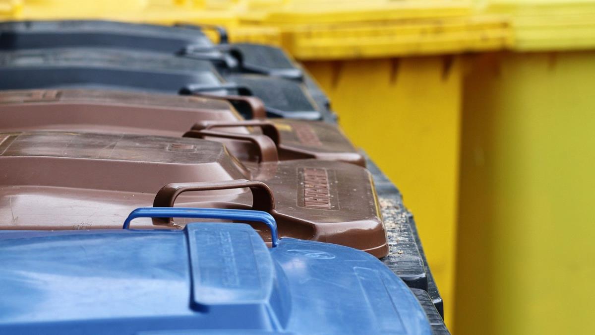 Fueron encontrados en la calle Narciso Monturiol