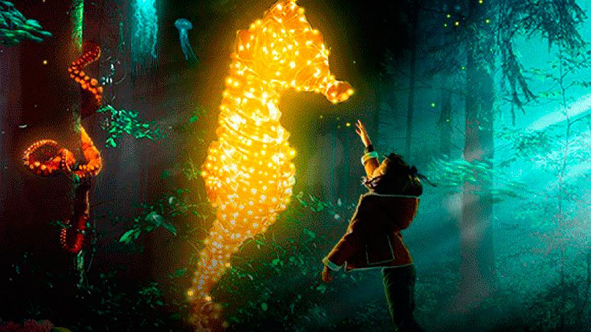 Se celebrará del 2 de noviembre al 16 de enero en el Real Jardín Botánico