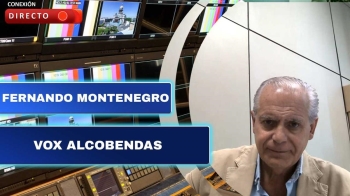El portavoz de VOX ha exigido una solución al problema de la torre de alta tensión