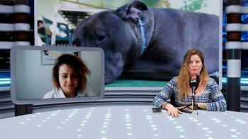 Bobby se escapó, causando la muerte de otra mascota, y ahora no sabe si podrá recuperarlo