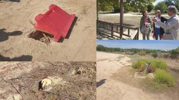 El partido socialista se queja del mal mantenimiento del parque forestal "Adolfo Suárez"